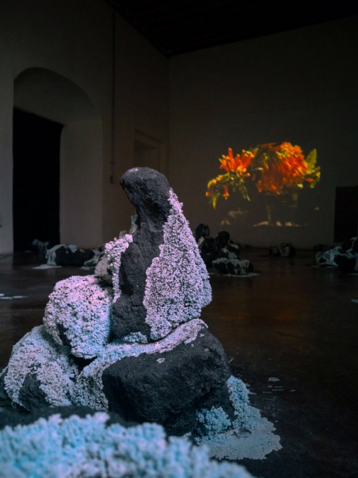 http://www.no.mirunadragan.com/files/gimgs/th-71_HGM-Coal-W_IMG_20220920_111751(1)_1.jpg